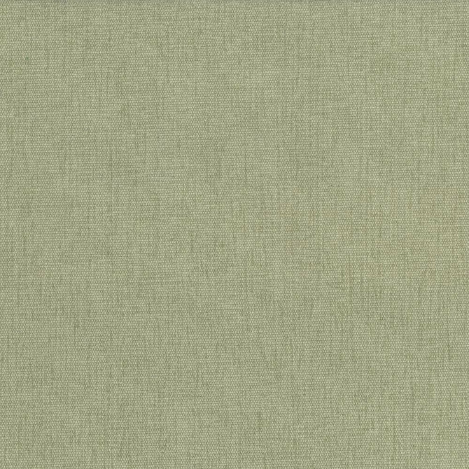 Pinnacle Celery by Kasmir Designer Fabric See sample 100% Polyester
 INDIA 102,000 Wyzenbeek Double Rubs </p><p>Repeat: Horizontal: N/A and Vertical: N/A 54 - Swanky Fabrics -