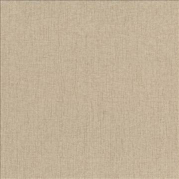 Pinnacle Chamois by Kasmir Designer Fabric 5046 100% Polyester INDIA 102,000 Wyzenbeek Double Rubs H: N/A, V: N/A 54 - 55 - Swanky Fabrics - Kasmir
