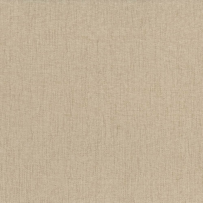 Pinnacle Chamois by Kasmir Designer Fabric 5046 100% Polyester
 INDIA 102,000 Wyzenbeek Double Rubs </p><p>Repeat: Horizontal: N/A and Vertical: N/A 54 - Swanky Fabrics -