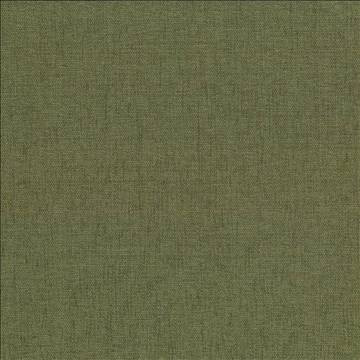 Pinnacle Chive by Kasmir Designer Fabric 1353 100% Polyester INDIA 102,000 Wyzenbeek Double Rubs H: N/A, V: N/A 54 - 55 - Swanky Fabrics - Kasmir