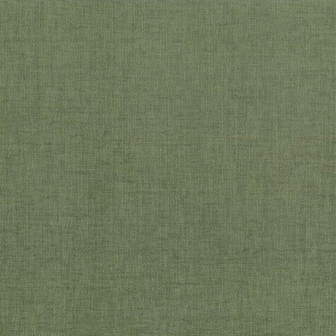 Pinnacle Fern  by Kasmir Designer Fabric 5046 100% Polyester
 INDIA 102,000 Wyzenbeek Double Rubs Horizontal: N/A and Vertical: N/A 54  - Swanky Fabrics -