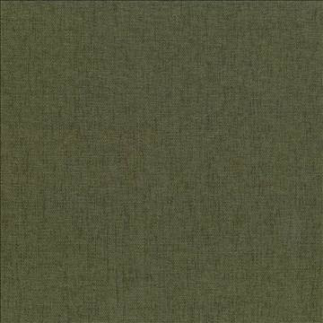 Pinnacle Forest by Kasmir Designer Fabric 5046 100% Polyester INDIA 102,000 Wyzenbeek Double Rubs H: N/A, V: N/A 54 - 55 - Swanky Fabrics - Kasmir