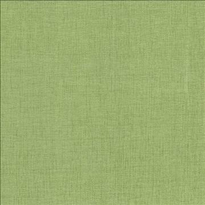 Pinnacle Grass by Kasmir Designer Fabric 5046 100% Polyester INDIA 102,000 Wyzenbeek Double Rubs H: N/A, V: N/A 54 - 55 - Swanky Fabrics - Kasmir