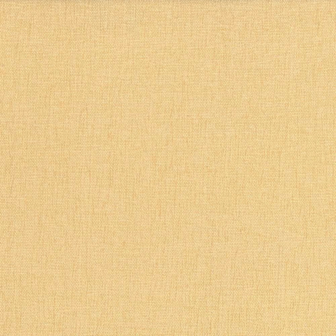 Pinnacle Maize by Kasmir Designer Fabric 5046 100% Polyester
 INDIA 102,000 Wyzenbeek Double Rubs </p><p>Repeat: Horizontal: N/A and Vertical: N/A 54 - Swanky Fabrics -