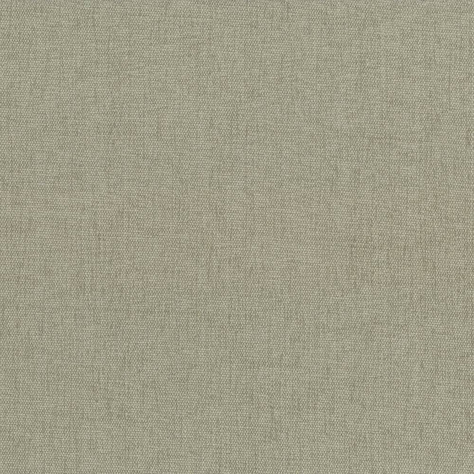 Pinnacle Mushroom by Kasmir Designer Fabric 5046 100% Polyester
 INDIA </p><p>Repeat: Horizontal: N/A and Vertical: N/A 54 - 55 - Swanky Fabrics -