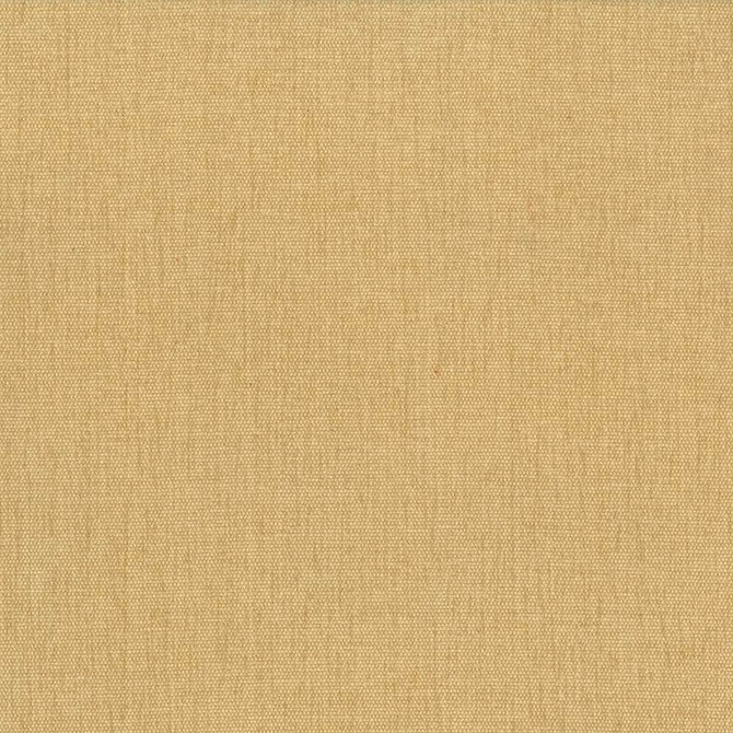 Pinnacle Mustard by Kasmir Designer Fabric 1353 100% Polyester INDIA 102,000 Wyzenbeek Double Rubs Horizontal: 0 Inches and Vertical: 0 Inches 54 - 55 - Swanky Fabrics -