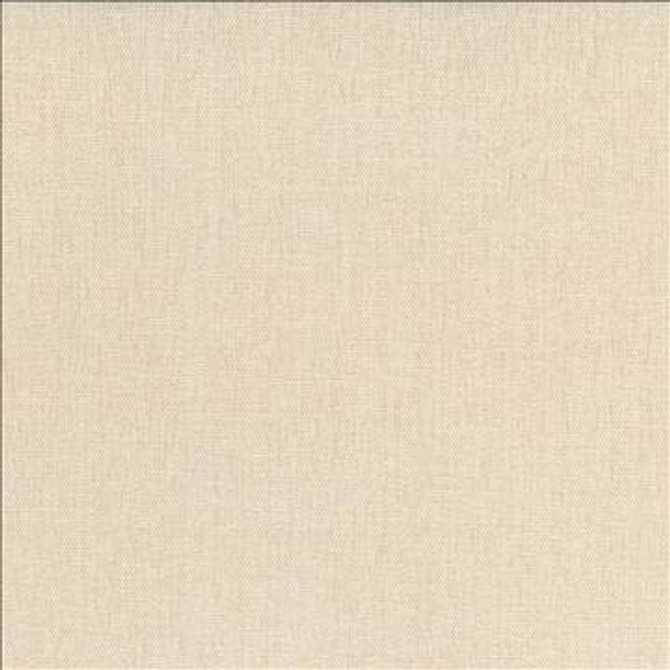 Pinnacle Oyster by Kasmir Designer Fabric 5046 100% Polyester INDIA 102,000 Wyzenbeek Double Rubs H: N/A, V: N/A 54 - 55 - Swanky Fabrics - Kasmir