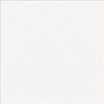 Pinnacle White by Kasmir Designer Fabric 5046 100% Polyester INDIA 102,000 Wyzenbeek Double Rubs H: N/A, V: N/A 54 - 55 - Swanky Fabrics - Kasmir