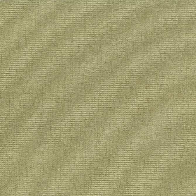 Pinnacle Willow by Kasmir Designer Fabric 5046 100% Polyester
 INDIA </p><p>Repeat: Horizontal: N/A and Vertical: N/A 54 - 55 - Swanky Fabrics -
