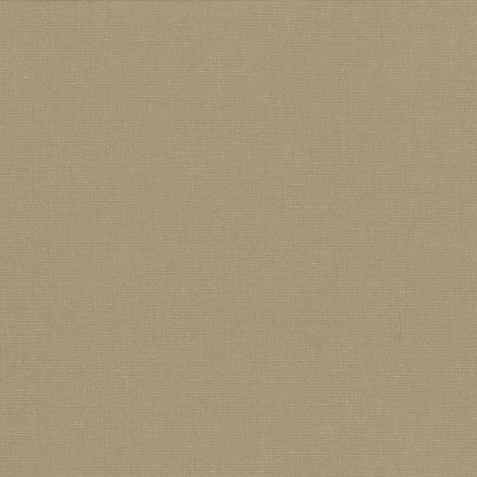 Pirouette Cement  by Kasmir Designer Fabric 5054 100% Polyester
 INDIA 45,000 Wyzenbeek Double Rubs Horizontal: N/A and Vertical: N/A 54  - Swanky Fabrics -