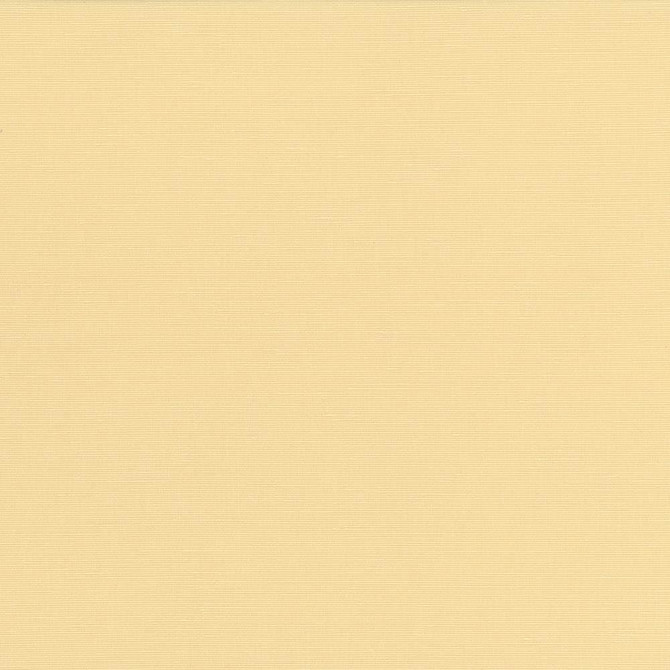 Pirouette Maize by Kasmir Designer Fabric 5054 100% Polyester INDIA 45,000 Wyzenbeek Double Rubs Horizontal: 0 Inches and Vertical: 0 Inches 54 - 55 - Swanky Fabrics -