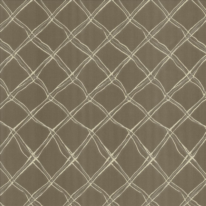 Plexus Stone by Kasmir Designer Fabric See sample 100% Polyester
 TURKEY 30,000 Wyzenbeek Double Rubs </p><p>Repeat: Horizontal: 3 3/8 inches and Vertical: 14 inches 57 - Swanky Fabrics -
