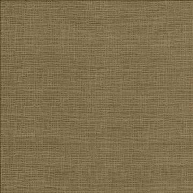 Regis Cognac by Kasmir Designer Fabric 5093 100% Polyester CHINA 125,000 Wyzenbeek Double Rubs H: N/A, V: N/A 55 - Swanky Fabrics - Kasmir