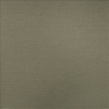 Rivage Pewter by Kasmir Designer Fabric 5101 54% Polyester 46% Cotton TAIWAN 10,000 Wyzenbeek Double Rubs H: N/A, V: N/A 54 - 55 - Swanky Fabrics - Kasmir