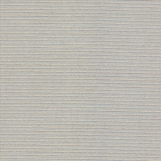 Rivage Silver by Kasmir Designer Fabric 5100 54% Polyester 46% Cotton TAIWAN 10,000 Wyzenbeek Double Rubs Horizontal: 0 Inches and Vertical: 0 Inches 54 - 55 - Swanky Fabrics -