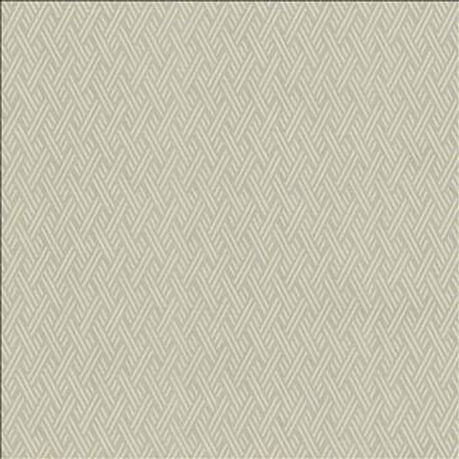 Rockweave Silver by Kasmir Designer Fabric 5118 100% Polyester USA 6,000 Wyzenbeek Double Rubs H: 1 inches, V: 1 7/8 inches 55 - Swanky Fabrics - Kasmir