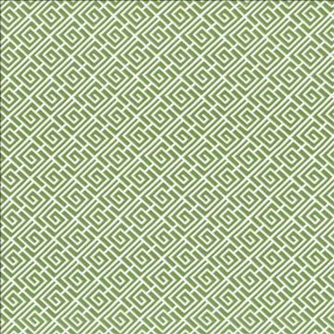 Royal Pagoda Kiwi by Kasmir Designer Fabric 5090 100% Cotton PAKISTAN 15,000 Wyzenbeek Double Rubs H: 4 4/8 inches, V: 4 4/8 inches 54 - 55 - Swanky Fabrics - Kasmir