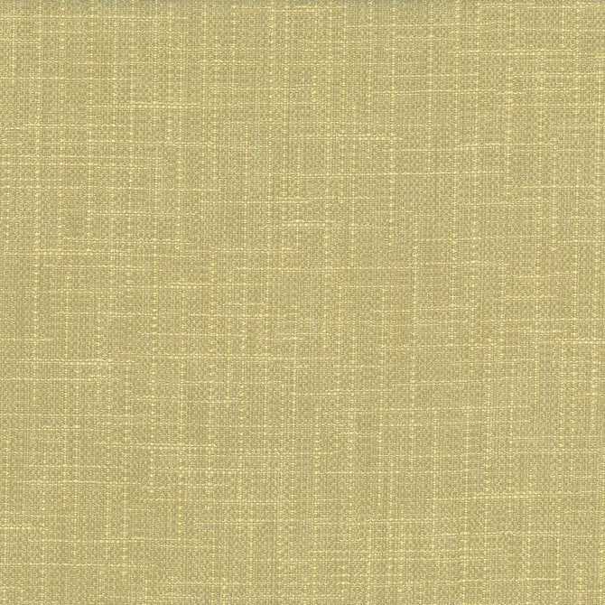 San Carlos Aloe  by Kasmir Designer Fabric 5050 100% Polyester
 INDIA 25,000 Wyzenbeek Double Rubs Horizontal: N/A and Vertical: N/A 54  - Swanky Fabrics -
