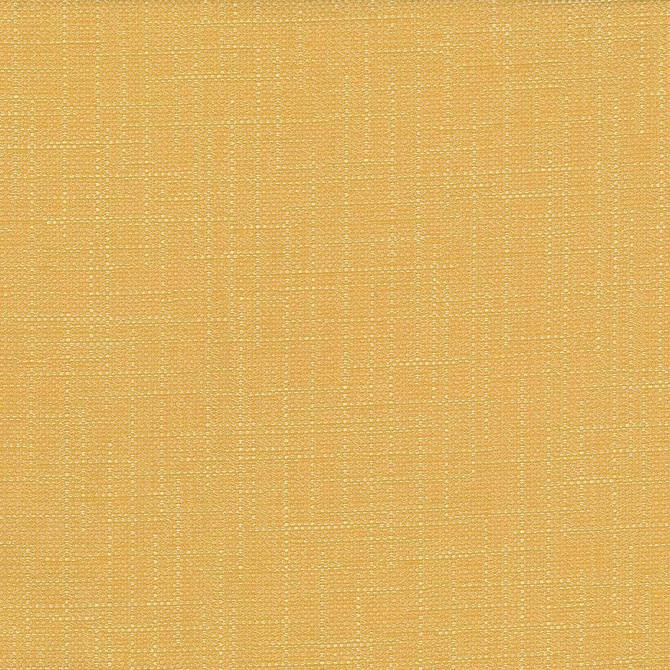 San Carlos Golden by Kasmir Designer Fabric 5050 100% Polyester INDIA 25,000 Wyzenbeek Double Rubs Horizontal: 0 Inches and Vertical: 0 Inches 54 - 55 - Swanky Fabrics -