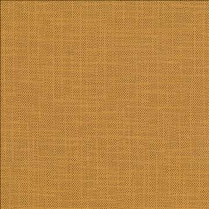 San Carlos Maize by Kasmir Designer Fabric 5050 100% Polyester INDIA 25,000 Wyzenbeek Double Rubs H: N/A, V: N/A 54 - 55 - Swanky Fabrics - Kasmir