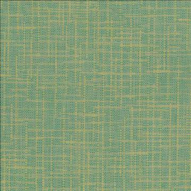 San Carlos Pool by Kasmir Designer Fabric 5050 100% Polyester INDIA 25,000 Wyzenbeek Double Rubs H: N/A, V: N/A 54 - 55 - Swanky Fabrics - Kasmir