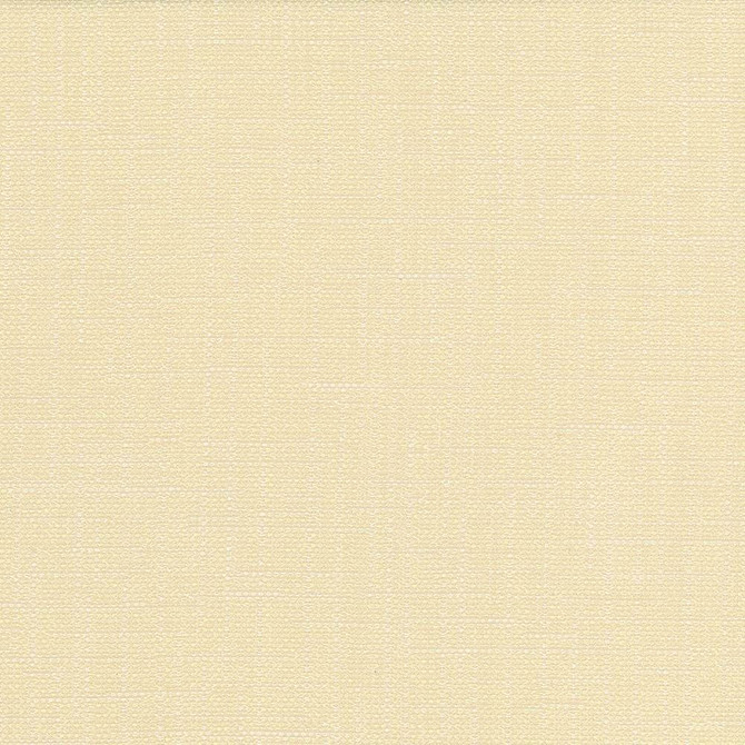 San Carlos White Chocolate  by Kasmir Designer Fabric 5050 100% Polyester
 INDIA 25,000 Wyzenbeek Double Rubs Horizontal: N/A and Vertical: N/A 54  - Swanky Fabrics -