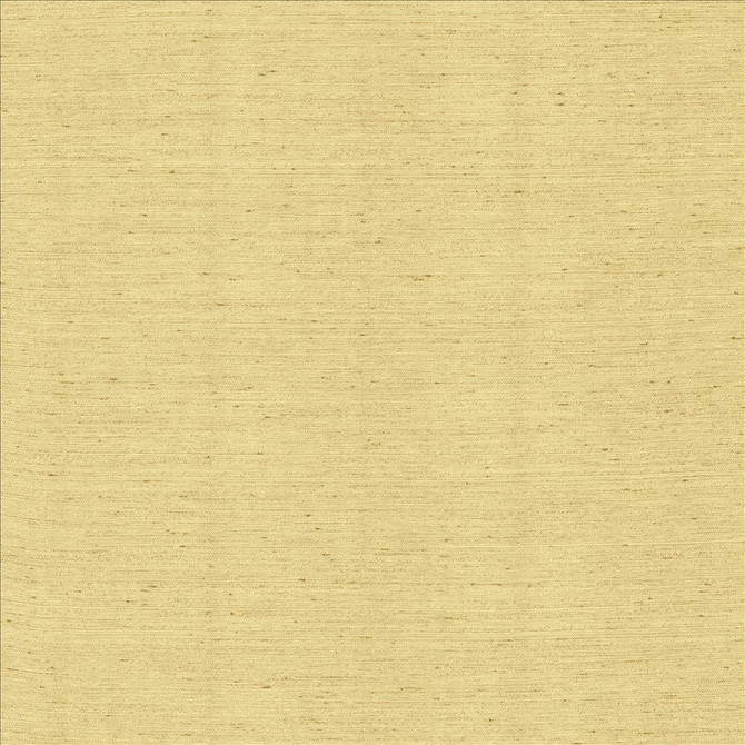 Santorini Champagne by Kasmir Designer Fabric 5013 100% Polyester
 INDIA </p><p>Repeat: Horizontal: N/A and Vertical: N/A 54 - Swanky Fabrics -