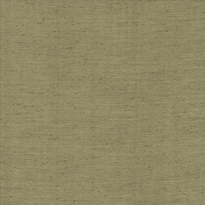 Santorini Silver Sage by Kasmir Designer Fabric See sample 100% Polyester
 INDIA 20,000 Wyzenbeek Double Rubs </p><p>Repeat: Horizontal: N/A and Vertical: N/A 54 - Swanky Fabrics -