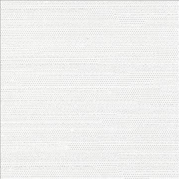 Santorini Winter White by Kasmir Designer Fabric 5013 100% Polyester INDIA 30,000 Wyzenbeek Double Rubs H: N/A, V: N/A 54 - 55 - Swanky Fabrics - Kasmir