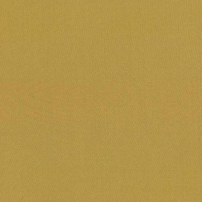 Seductive Amber by Kasmir Designer Fabric 5052 100% Polyester
 INDIA </p><p>Repeat: Horizontal: N/A and Vertical: N/A 53 - Swanky Fabrics -