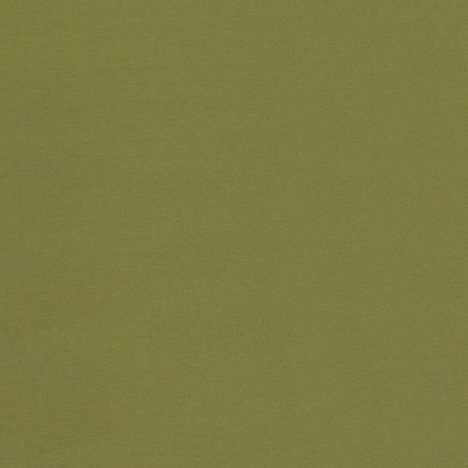 Seductive Cedar by Kasmir Designer Fabric 5052 100% Polyester
 INDIA </p><p>Repeat: Horizontal: N/A and Vertical: N/A 53 - Swanky Fabrics -