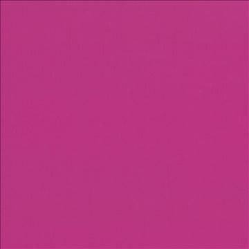 Seductive Fuchsia by Kasmir Designer Fabric 5052 100% Polyester INDIA 6,000 Wyzenbeek Double Rubs H: N/A, V: N/A 53 - Swanky Fabrics - Kasmir