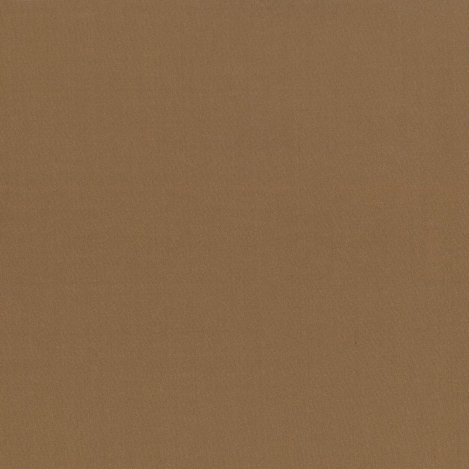 Seductive Hazelnut by Kasmir Designer Fabric 5052 100% Polyester
 INDIA </p><p>Repeat: Horizontal: N/A and Vertical: N/A 53 - Swanky Fabrics -