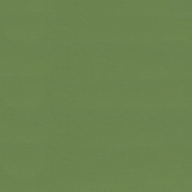 Seductive Jade by Kasmir Designer Fabric 5052 100% Polyester INDIA 6,000 Wyzenbeek Double Rubs Horizontal: 0 Inches and Vertical: 0 Inches 53 - Swanky Fabrics -