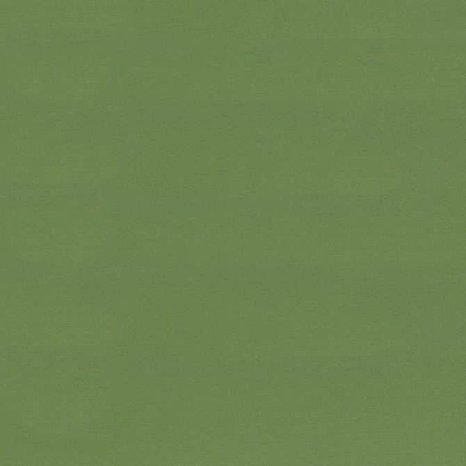 Seductive Jade by Kasmir Designer Fabric 5052 100% Polyester
 INDIA </p><p>Repeat: Horizontal: N/A and Vertical: N/A 53 - Swanky Fabrics -
