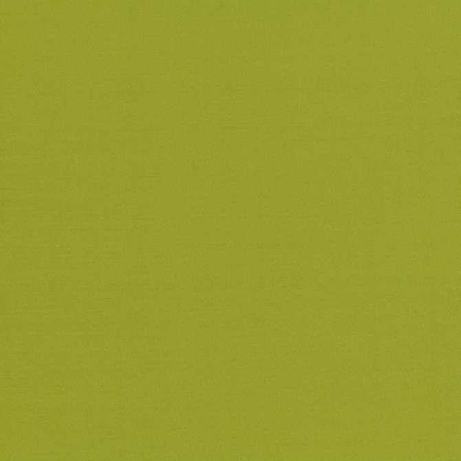 Seductive Kiwi  by Kasmir Designer Fabric 5052 100% Polyester
 INDIA 6,000 Wyzenbeek Double Rubs Horizontal: N/A and Vertical: N/A 53  - Swanky Fabrics -