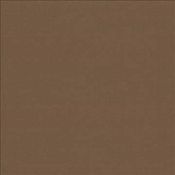 Seductive Latte by Kasmir Designer Fabric 5052 100% Polyester INDIA 6,000 Wyzenbeek Double Rubs H: N/A, V: N/A 53 - Swanky Fabrics - Kasmir