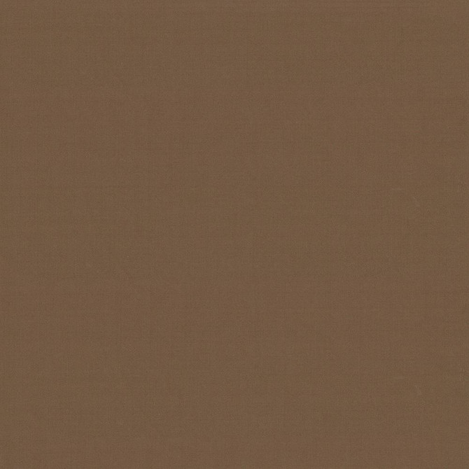 Seductive Latte by Kasmir Designer Fabric 5052 100% Polyester
 INDIA </p><p>Repeat: Horizontal: N/A and Vertical: N/A 53 - Swanky Fabrics -