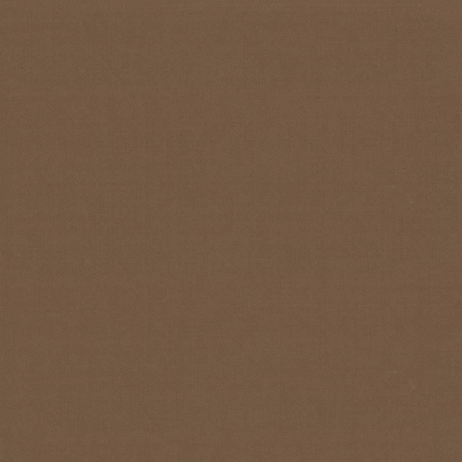 Seductive Latte by Kasmir Designer Fabric 5052 100% Polyester
 INDIA 6,000 Wyzenbeek Double Rubs </p><p>Repeat: Horizontal: N/A and Vertical: N/A 53 - Swanky Fabrics -