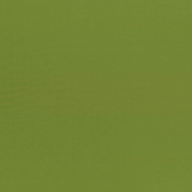 Seductive Olive  by Kasmir Designer Fabric 5052 100% Polyester
 INDIA 6,000 Wyzenbeek Double Rubs Horizontal: N/A and Vertical: N/A 53  - Swanky Fabrics -