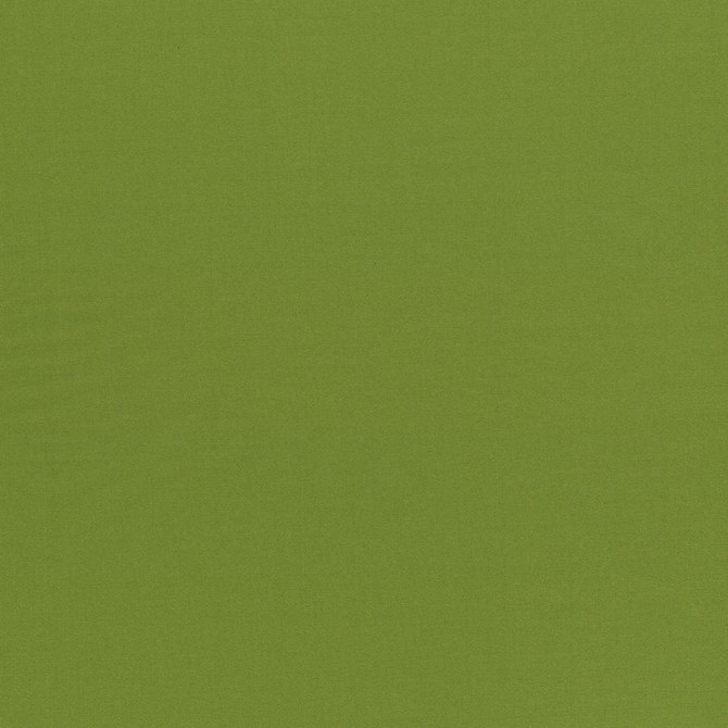 Seductive Olive by Kasmir Designer Fabric 5052 100% Polyester
 INDIA </p><p>Repeat: Horizontal: N/A and Vertical: N/A 53 - Swanky Fabrics -