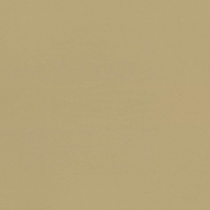 Seductive Tan by Kasmir Designer Fabric See sample 100% Polyester
 INDIA 6,000 Wyzenbeek Double Rubs </p><p>Repeat: Horizontal: N/A and Vertical: N/A 53 - Swanky Fabrics -