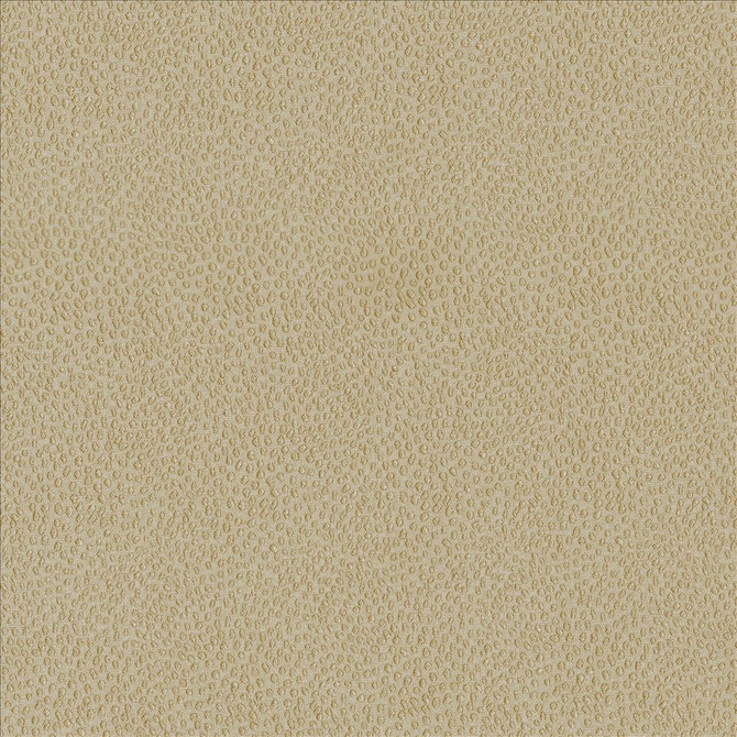 Spontaneity Cedar by Kasmir Designer Fabric 5092 100% Polyester
 INDIA </p><p>Repeat: Horizontal: N/A and Vertical: N/A 54 - 55 - Swanky Fabrics -