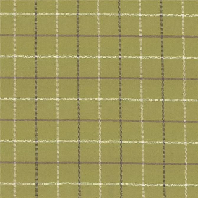 Steinbeck Check Palm by Kasmir Designer Fabric 1446 50% Polyester
50% Viscose
 CHINA </p><p>Repeat: Horizontal: 5 inches and Vertical: 5 inches 57 - Swanky Fabrics -