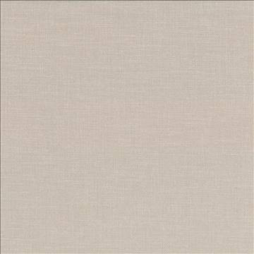Subtle Chic Beige by Kasmir Designer Fabric 5040 100% Polyester INDIA 50,000 Wyzenbeek Double Rubs H: N/A, V: N/A 55 - 57 - Swanky Fabrics - Kasmir