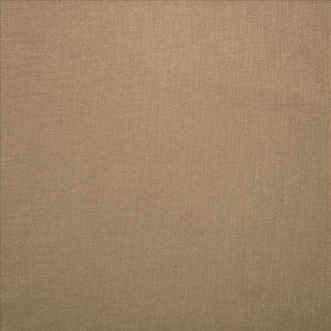 Subtle Chic Beige by Kasmir Designer Fabric See sample 100% Polyester
 INDIA 50,000 Wyzenbeek Double Rubs </p><p>Repeat: Horizontal: N/A and Vertical: N/A 54 - Swanky Fabrics -