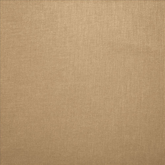 Subtle Chic Latte by Kasmir Designer Fabric 5040 100% Polyester
 INDIA </p><p>Repeat: Horizontal: N/A and Vertical: N/A 54 - 57 - Swanky Fabrics -
