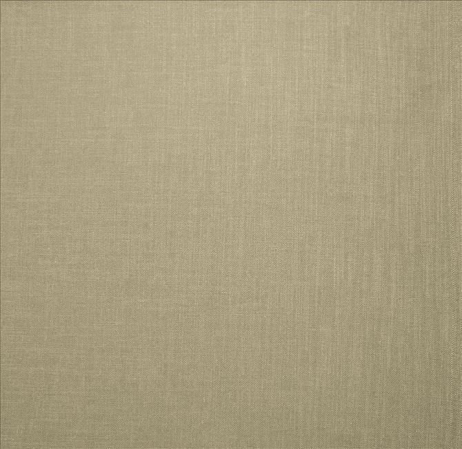 Subtle Chic Silver by Kasmir Designer Fabric 5160 100% Polyester
 INDIA </p><p>Repeat: Horizontal: N/A and Vertical: N/A 54 - 57 - Swanky Fabrics -