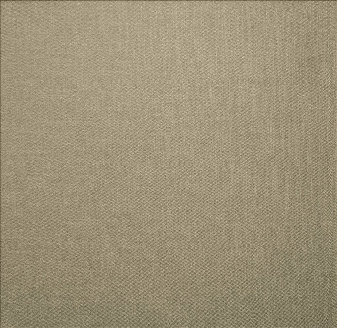 Subtle Chic Silver by Kasmir Designer Fabric 5160 100% Polyester
 INDIA 50,000 Wyzenbeek Double Rubs </p><p>Repeat: Horizontal: N/A and Vertical: N/A 54 - Swanky Fabrics -