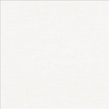 Subtle Chic Snow by Kasmir Designer Fabric 5040 100% Polyester INDIA 50,000 Wyzenbeek Double Rubs H: N/A, V: N/A 55 - 57 - Swanky Fabrics - Kasmir